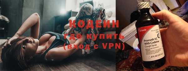 скорость Каменка