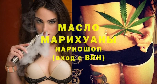 скорость Каменка