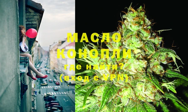 скорость Каменка