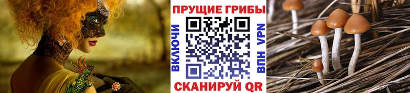 Галлюциногенные грибы мицелий  Купить  Высоцк 